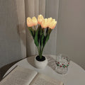2cb9898b3db9fb487b780ed57afb53c
