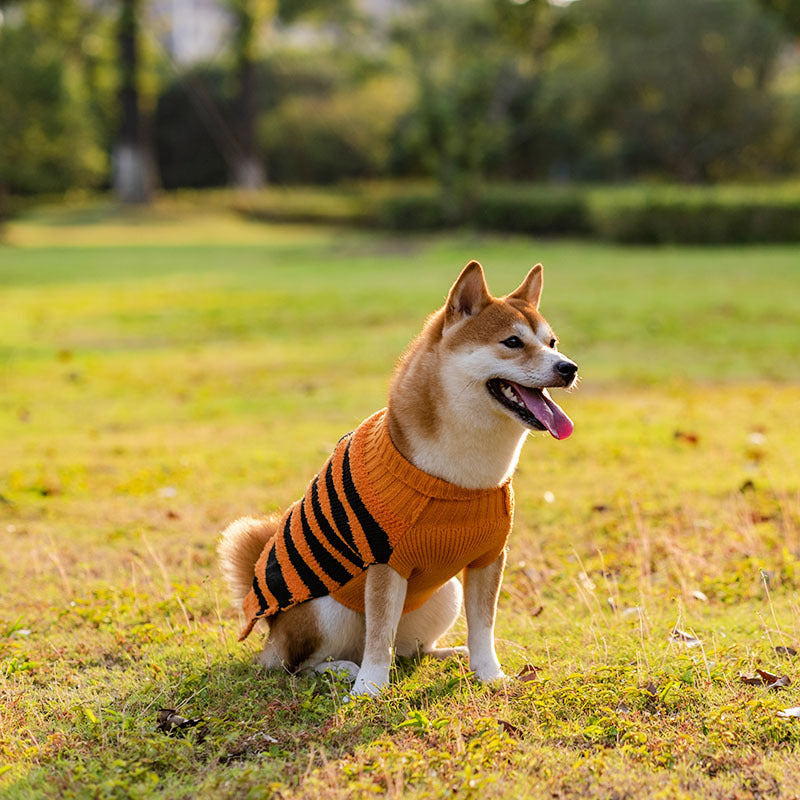 15d4e90dc3f0429645c77b13652b608a